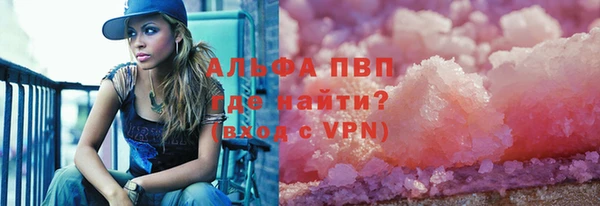 PSILOCYBIN Няндома