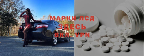 PSILOCYBIN Няндома