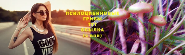 мет Осташков