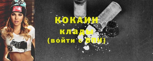 PSILOCYBIN Няндома