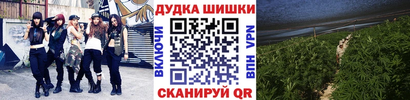 Бошки Шишки тримм  Агрыз 